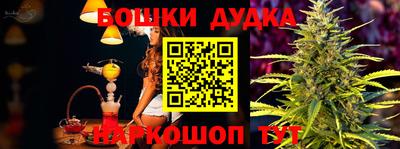 шишки Апшеронск