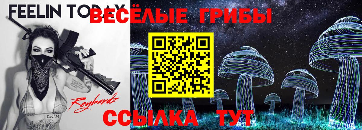 Мегион  Псилоцибиновые грибы GOLDEN TEACHER  Псилоцибиновые грибы MAGIC MUSHROOMS  Вход с VPN 
