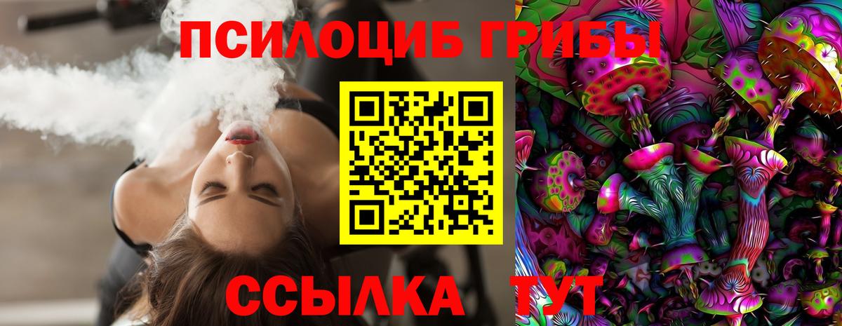 Псилоцибиновые грибы Psilocybe Мегион